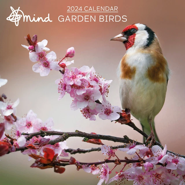 British Garden Birds Calendar 2025 Liuka Prissie