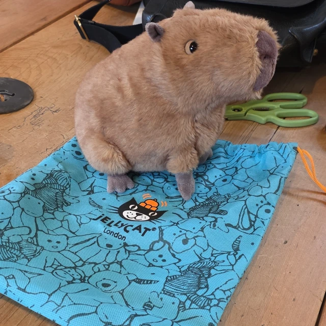 JELLYCAT CLYDE CAPYBARA With Original Bag And Tags £47.50 - PicClick UK