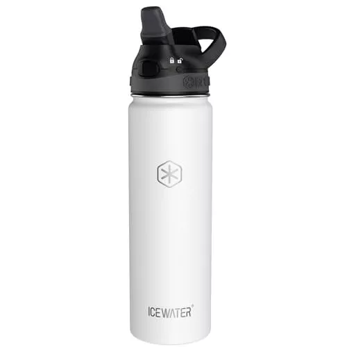 - 24 oz Insulated Water Bottle With Auto Straw Lid and Carry Handle Leakpro