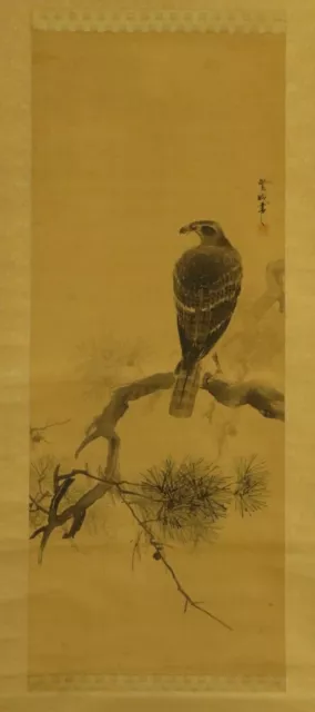 JAPANESE HANGING SCROLL ART Painting "Hawk" Asian antique  #E5105