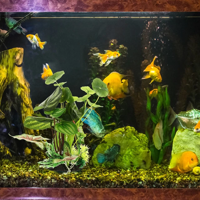 Piante Artificiali Per Acquario Alte 50 Cm, Realismo Totale, Set Di 2, Color Viola Stile C, Per Acqua Dolce E Salata