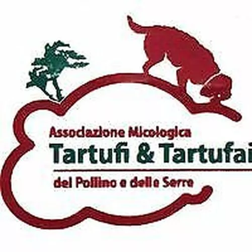 Tartufo Nero Estivo Poudre 50 G en Pot Scorzone Truffes Aroma Épice Cuisine 2