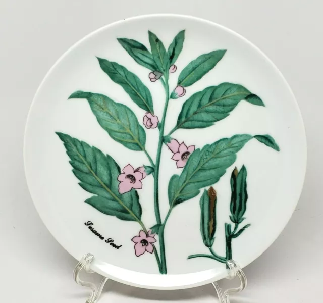 Vintage Shafford SHA5 Sesame Seed Salad Plate Japan Herb Botanical Plant Plates