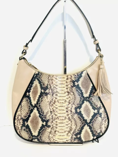 Amira brahmin hotsell