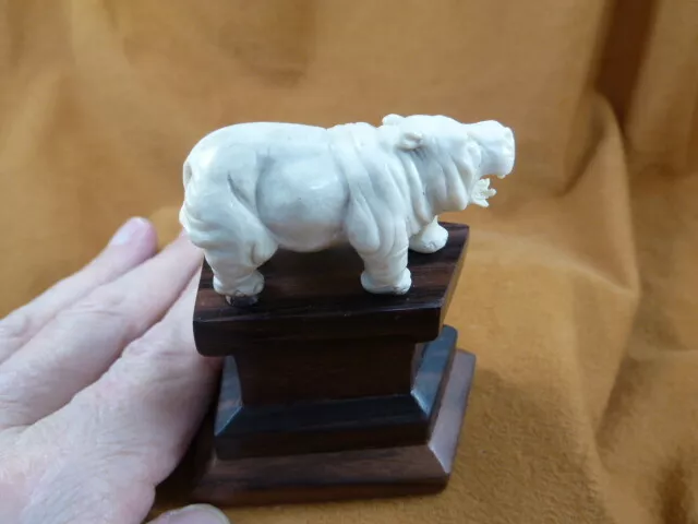 hippo-16) baby Hippo of shed ANTLER figurine Bali detailed carving love hippos