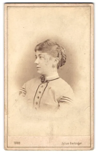 Photograph Julius Gertinger, Vienna, Margarethenstrasse 28, Bourgeois Lady with
