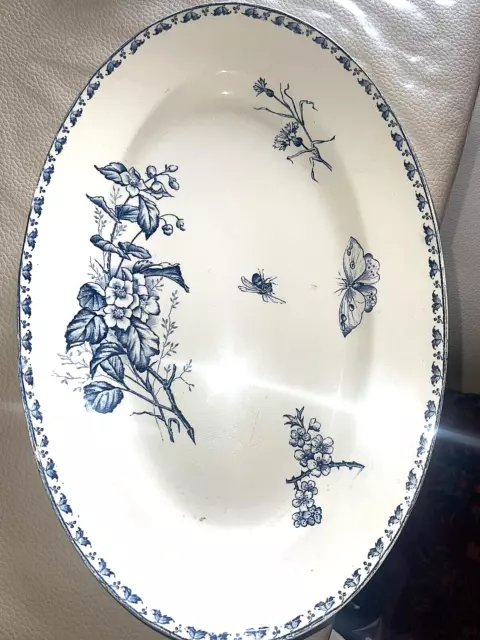 Plat  Ovale  Sarreguemines   Décor  Carmen