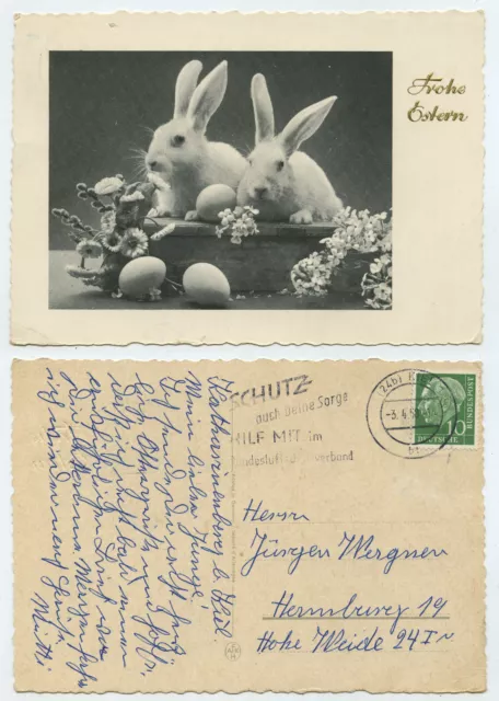 69966 - Weiße Hasen - Frohe Ostern - Ansichtskarte, gelaufen Kiel 3.4.1958