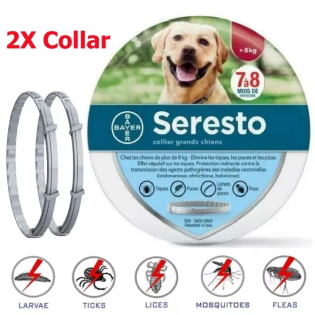 2X Collar Antiinsectos Pulgas y garrapatas 8 Meses para Perros Grandes 70cm