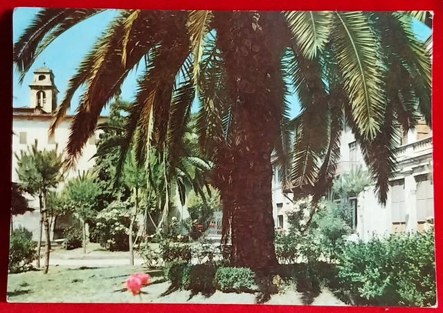 Cartolina Pescia Piazza G. Matteotti