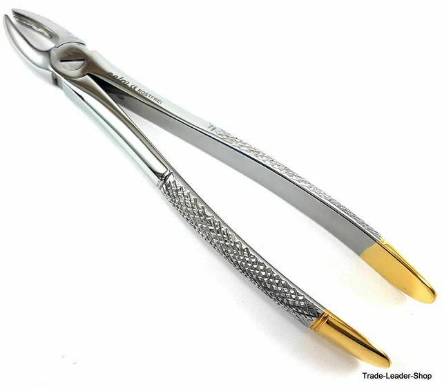 Extraktionszange Pince à dents n ° 2 Pince dentaire molaire maxillaire...