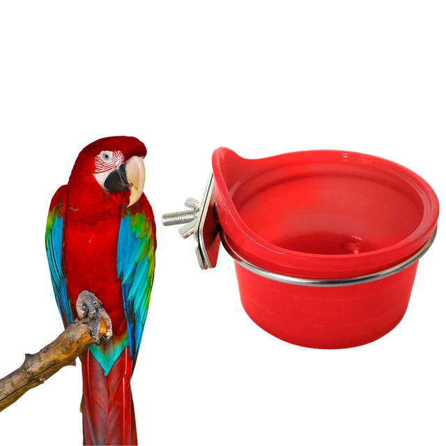 Fournitures pour oiseaux Multifonction Perroquet Mangeoire À Oiseaux Abreuvoir 10