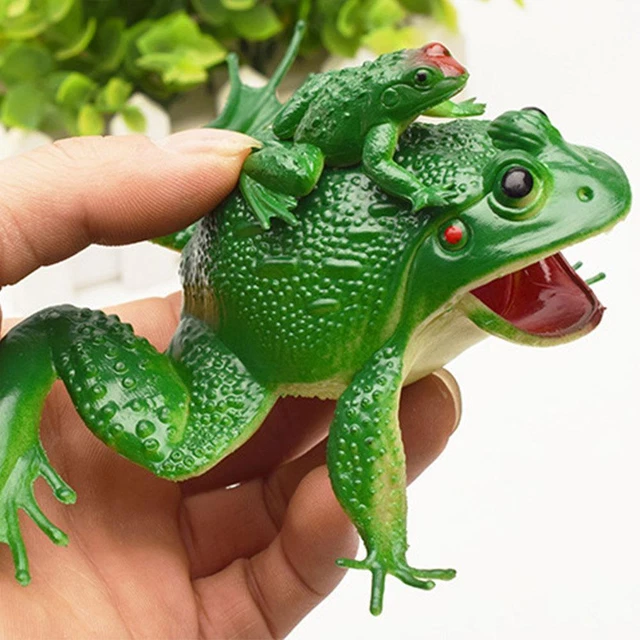 PVC Toy Growth Cycle Life Cycle Model Set Frog Model F4G0 Hot H8I1 Sale Q5Y6