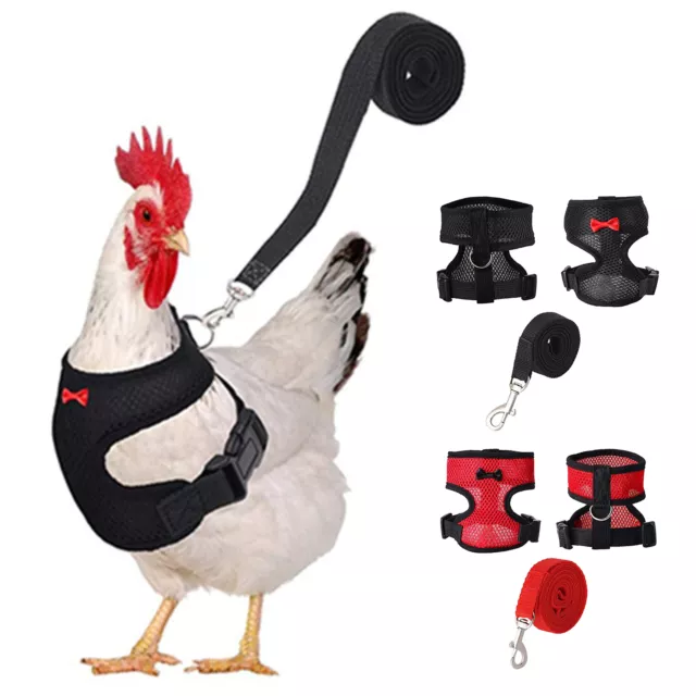 Chicken Harness And Leash Adjustable Small Pets Vest Duck Harness With Leash