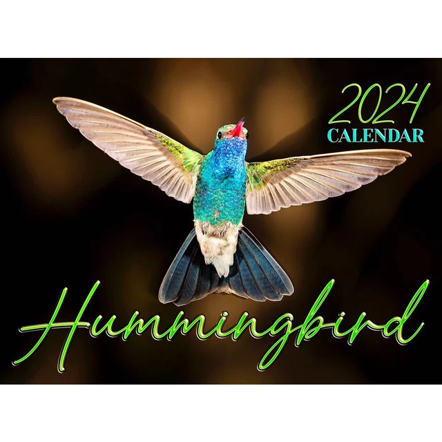 SMITHSOUTHWESTERN, HUMMINGBIRD 2024 Wall Calendar £14.47 PicClick UK