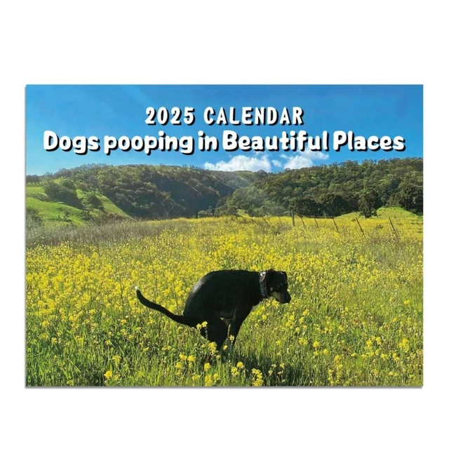 2025 Calendar, Annual Wall Calendar For Dogs, Calendar Pictures To Note - View #7