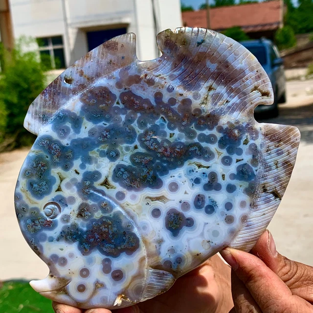 345G   Amazing Natural Ocean Jasper Crystal Carved Fish Jasper Halo Stone