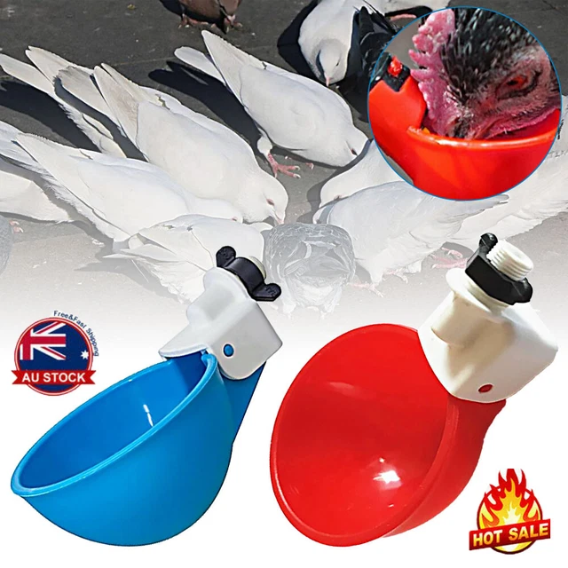 Automatic Water Cups Poultry Drinker Waterer Chicken Duck Quail Drinking ZO