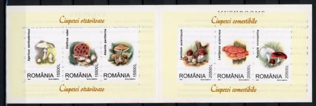 Rumänien Markenheftchen mit Block 332-333 postfrisch Pilze #JR776