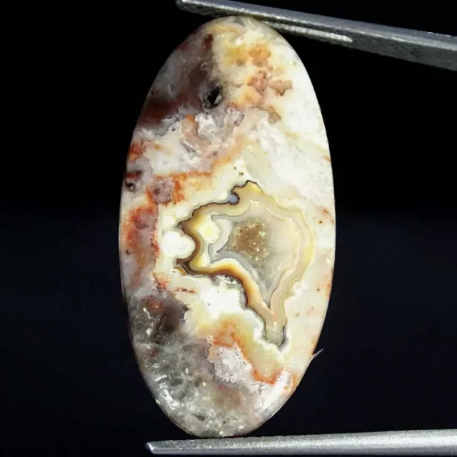 13.00Cts Natural Crazy Lace Agate Oval Cabochon Loose Gemstones