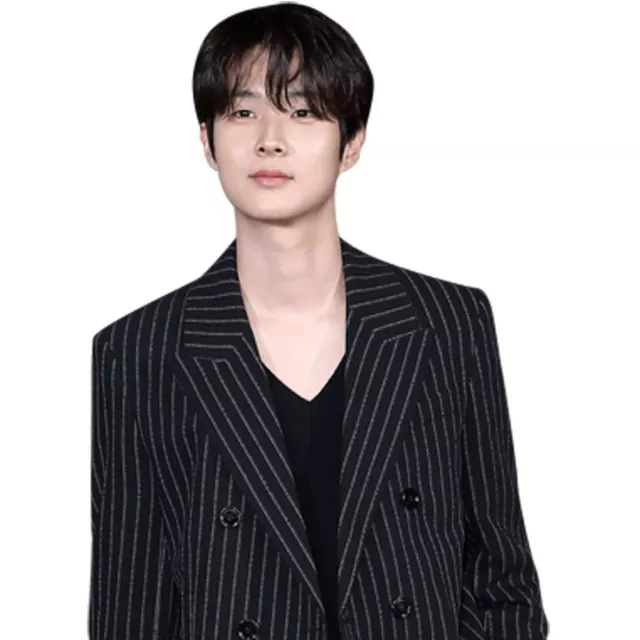 Choi Woo-Shik (Stripes) Halber Körper Buddy Ausschnitt