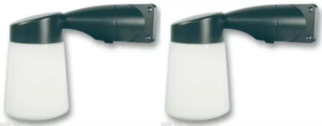 Eterna shop corner light
