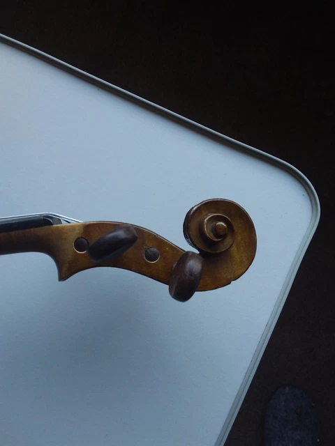 Violins