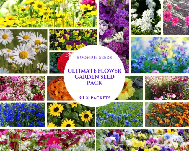 FLOWER GARDEN COLLECTION 30 x Packets of seeds EASY TO GROW pots cottage spring