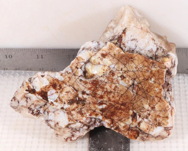 Stinking Water Plume Agate lapidary 1 lb 1 oz. rough