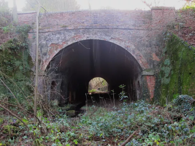 THE CUCKOO LINE (REDGATE MILL - HEATHFIELD) DISUSED RAILWAY TOUR 3 x DVD 2010