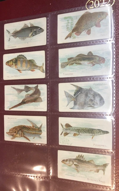 Itc Imperial Tobacco Company Canada Fish Series Cigarette Tobacco Cards X19 1912 3