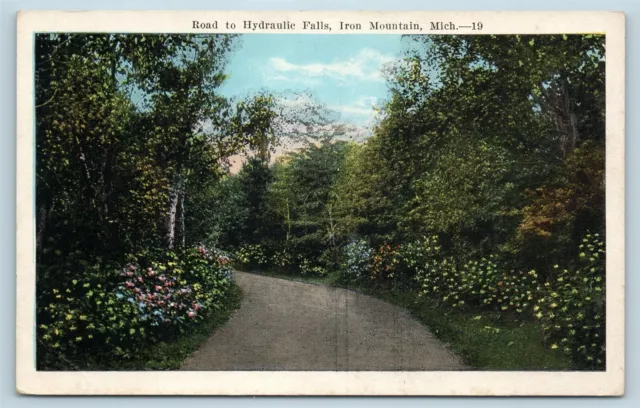 Postcard MI Iron Mountain Michigan Road to Hydraulic Falls c1920s AB18