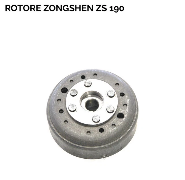 Rotore Volano Alta Qualità Quad Pit Bike 4T Motore Zs 190cc