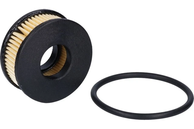 FILTRO RIDUTTORE GPL Elettrovalvola Type 71 LANDI RENZO Guarnizioni