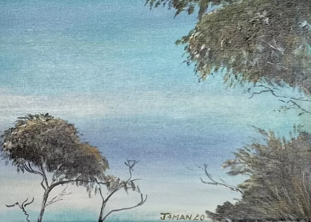 'VIEW FROM GT. KEPPEL ISLAND QLD.' an acrylic on canvas 80 cm x 40 cm unframed 2