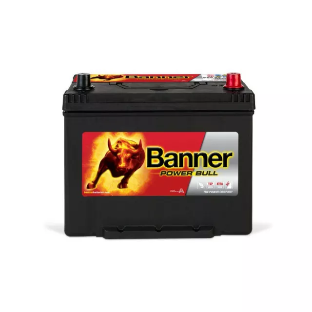 Banner Power Bull P8009 12v 80AH 640A