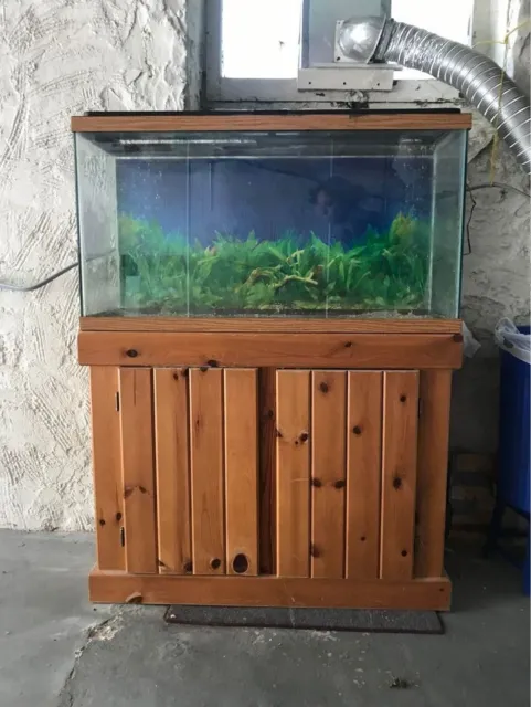Fish Tank with wooden stand - 50 gallon - rectangle - water heater