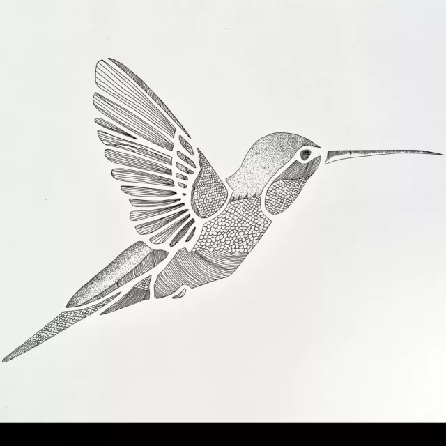 Hummingbird Stencil Colorado Bird Stencils