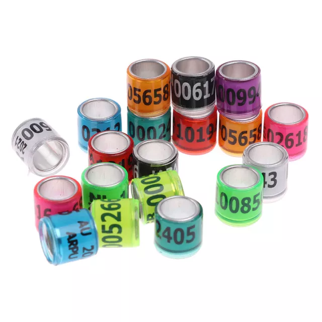 20x Anello Piedi Piccione con Word Erings 2021 Strumento Multicolore Bird *t~