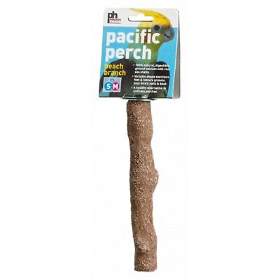 Prevue Pacific Perch Beach Rama pequeña - 7" de largo - (pájaros pequeños-medianos)