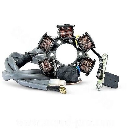 Stator + Rotor D'allumage 6 Pôles Pour Gilera DNA Runner 50 NM - Pièce Neuve Générique