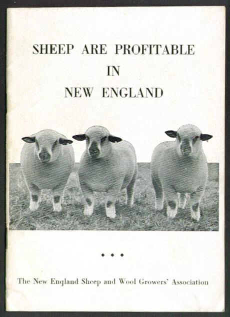 Sheep Are Profitable in New England Growers Association booklet 1945