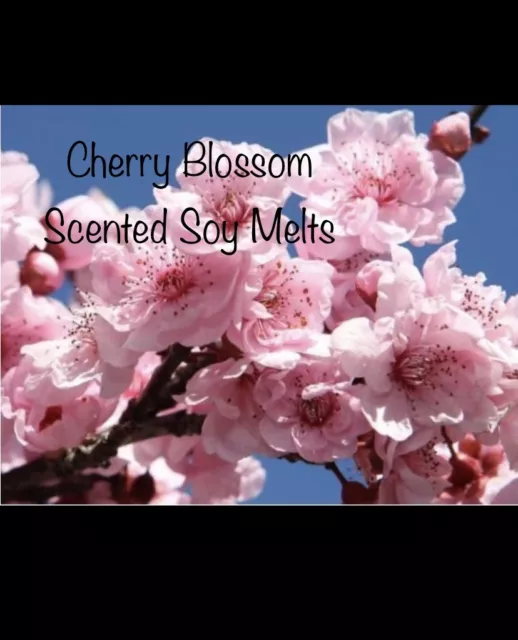 10 CHERRY BLOSSOM Highly Scented Soy Wax Melt Pods 40hr Burn Time Each