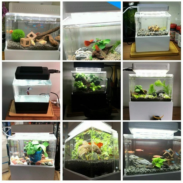 Mini Aquarium Fish Tank Home Desktop Water Filtration Led Light Decor Tank 5
