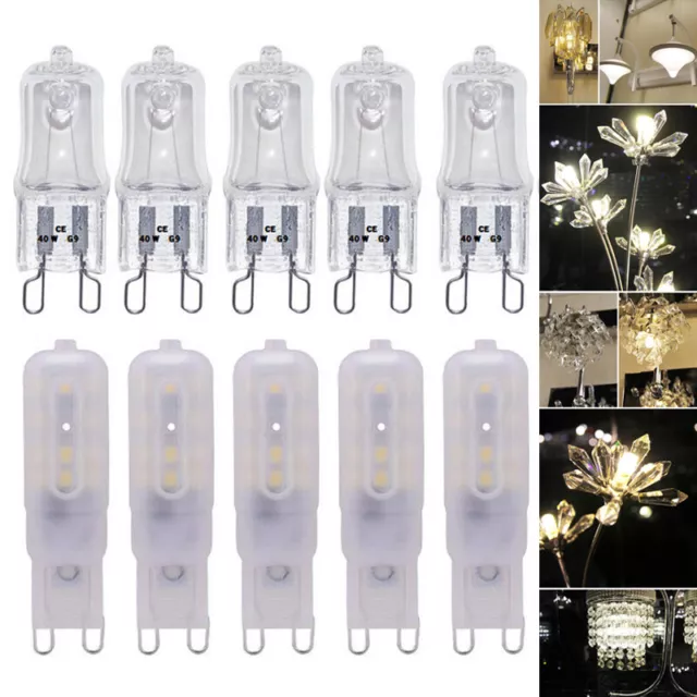 G9 LED 8W 25W 40W 60W Capsule Light Bulb Replacement Halogen Bulbs Dimmable 240V