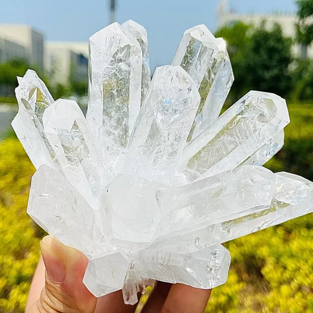 480g New Find white Phantom Quartz Crystal Cluster Mineral Specimen Healing 12