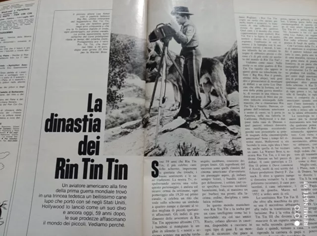 Epoca 1977 Rin Tin Tin