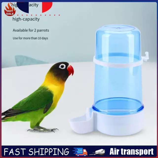 Abreuvoir automatique pour oiseaux, mangeoire pour oiseaux, fournitures pour ois