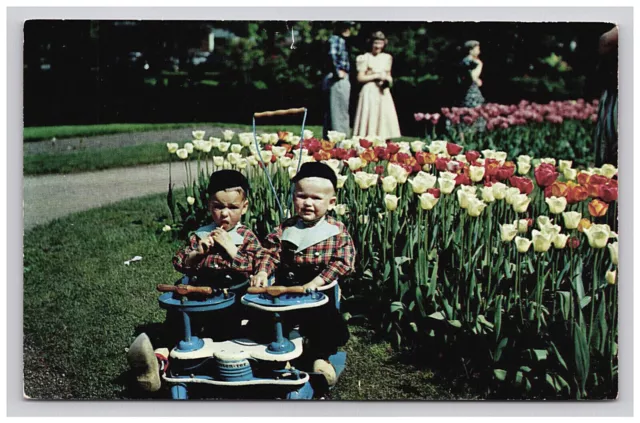 Postcard MI Tulip Time Festival Flowers Kids Ground View Holland Michigan