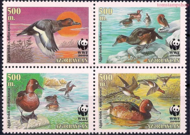 Azerbaijan 2000 WWF Ferruginous Duck Water Birds Wildlife Conservation 4v MNH